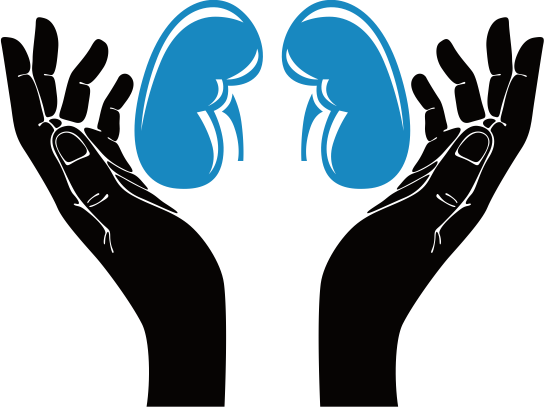 545x408 5 Tips To Keep Your Kidney Healthy