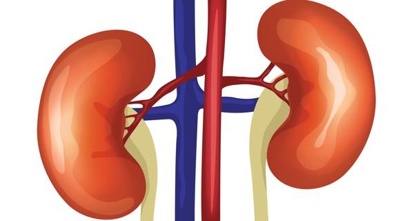600x320 Revealed 14 Hidden Symptoms Of Kidney Disease