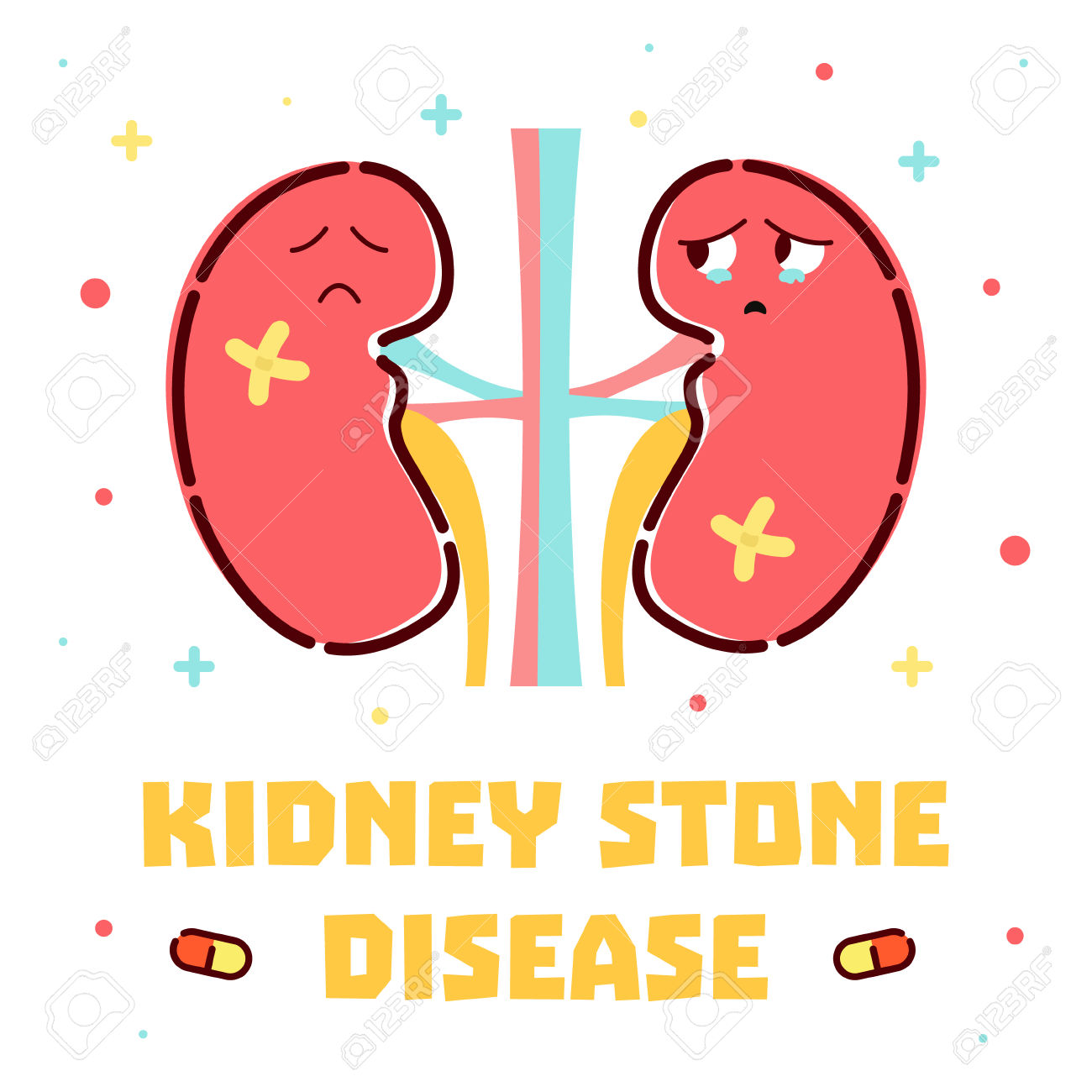 Health Kidneys Cliparts | Free download on ClipArtMag