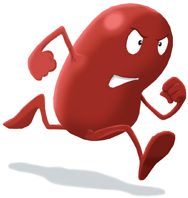 385x404 What Is Kidney Disease