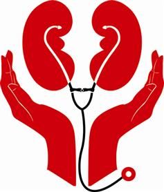 237x278 509 Best Kidneys Images Exercise, Allergies