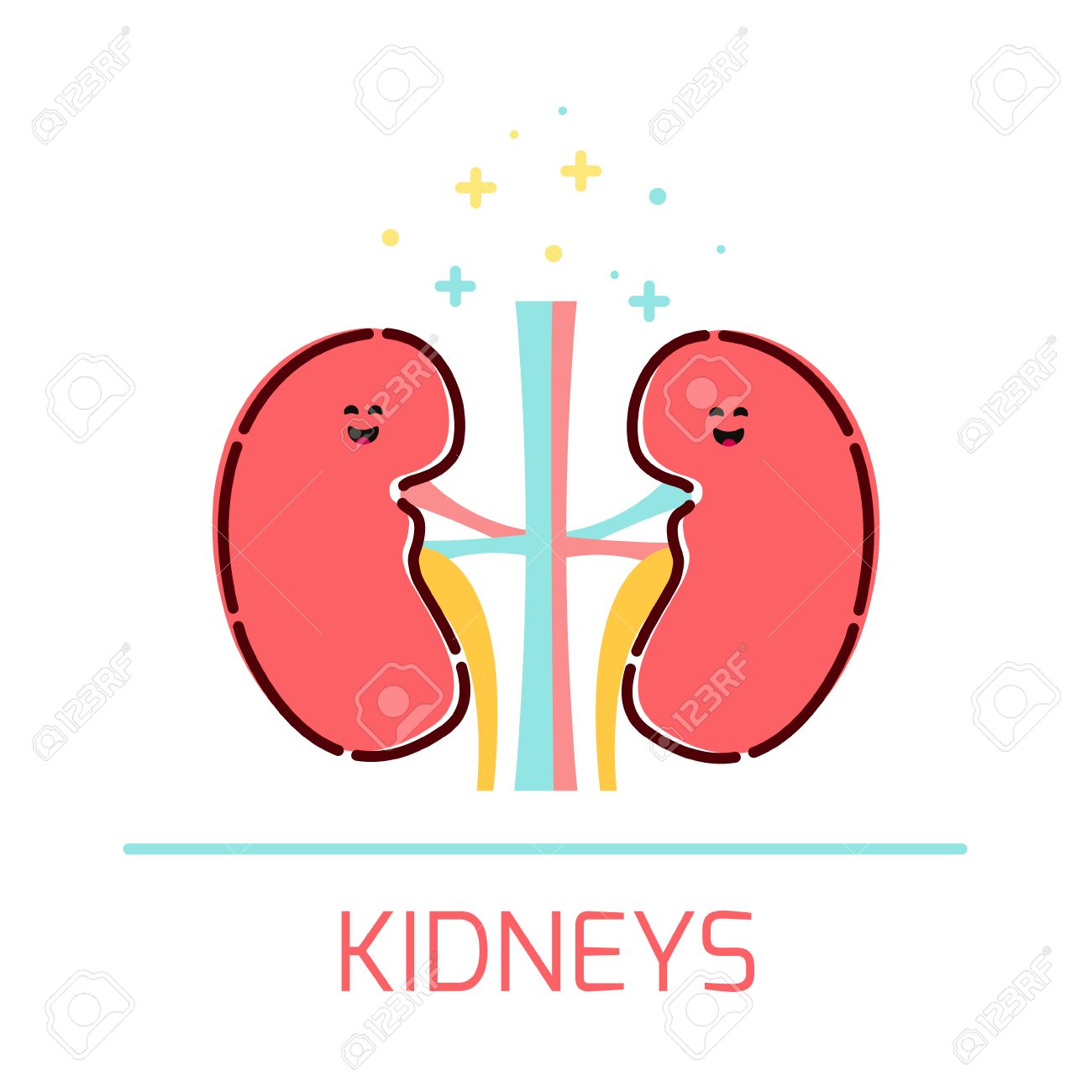 1300x1300 Cute Healthy Kidneys Icon Made In Cartoon Style. Kidneys Cartoon
