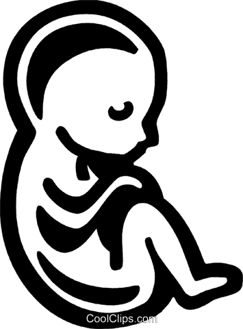 355x480 Fetus Royalty Free Vector Clip Art Illustration Vc075915
