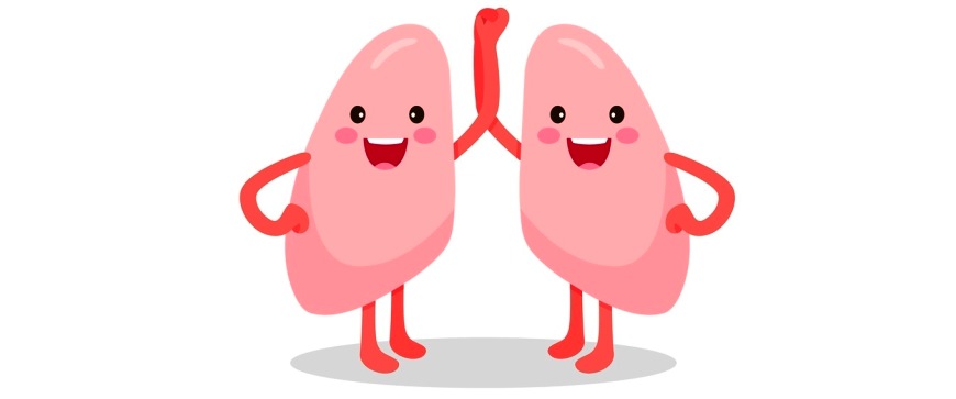 870x363 Healthy Lungs Hsl Blog
