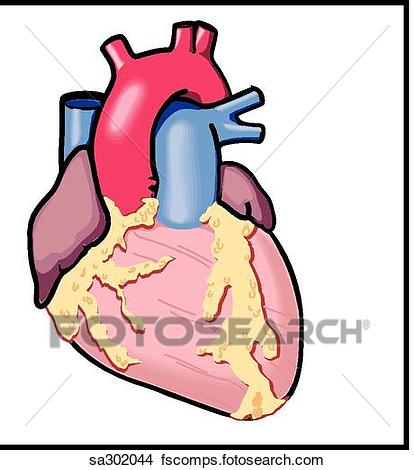 414x470 Drawings Of The Sympathetic Nervous System Innervates The Heart