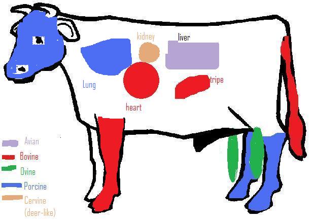 619x438 Veal Heart Offallygood