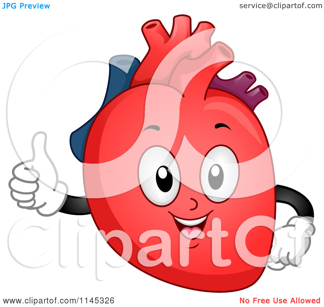 1080x1024 Cartoon Human Heart Clipart