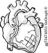 162x179 Vector Stock