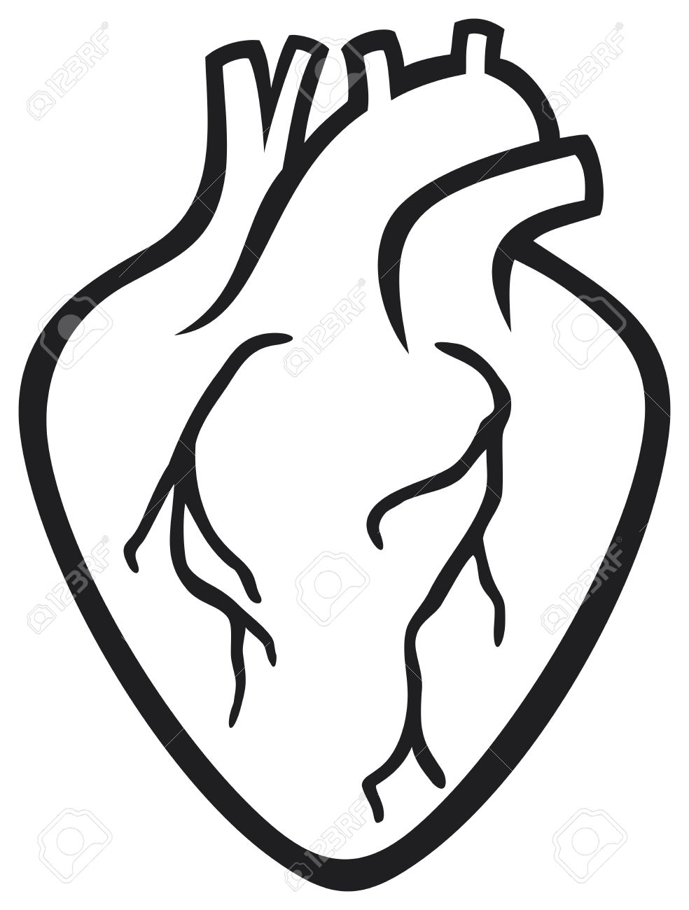 984x1300 Real Heart Clipart Collection