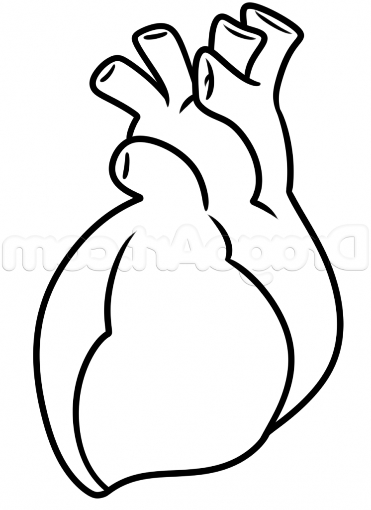 746x1024 Easy Drawing Of Hearts Drawing A Human Heart For Kids Step Step