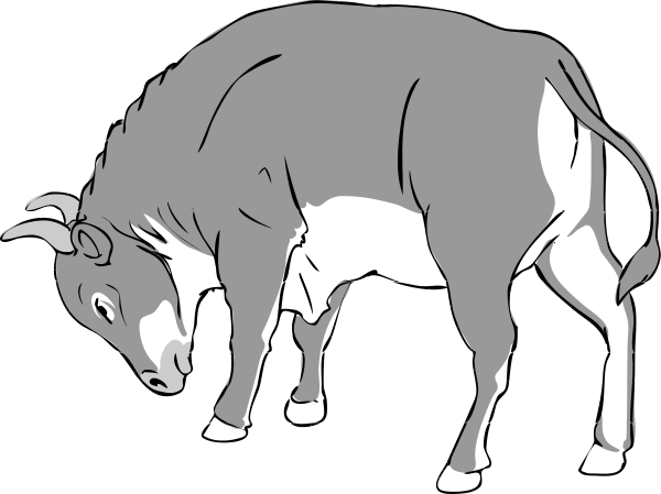 600x449 Bull Clipart Heaven