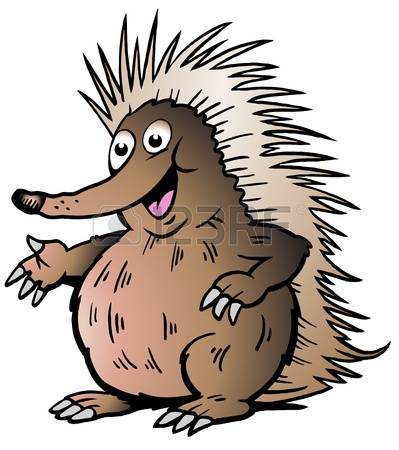 399x450 Echidna Clipart Hedgehog