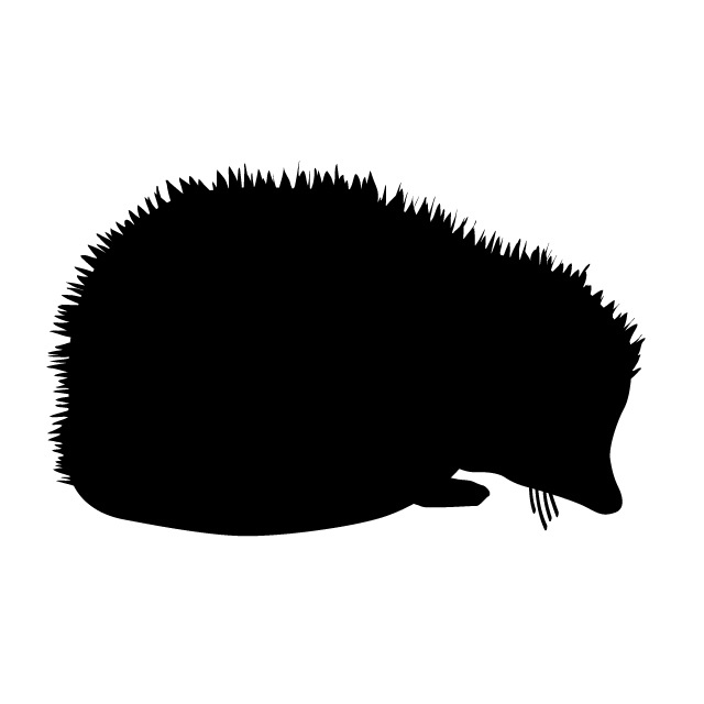 640x640 Hedgehog Animal Silhouette Free Illustrations