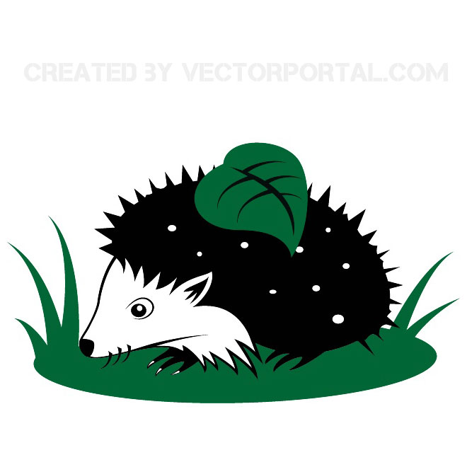 660x660 13 Hedgehog Clipart Vectors Download Free Vector Art Amp Graphics