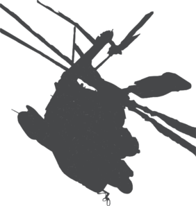 282x297 Helicopter Silhouette Clip Art