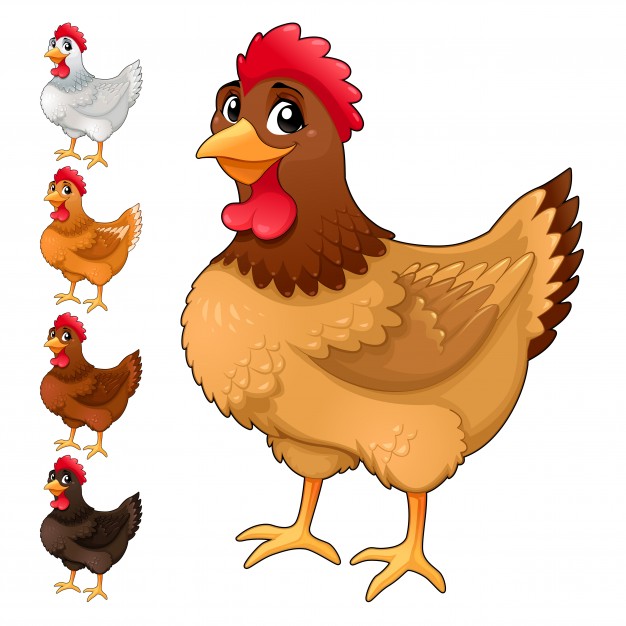 Hen Clipart | Free download on ClipArtMag