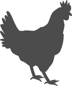 252x299 Gray Hen Clip Art