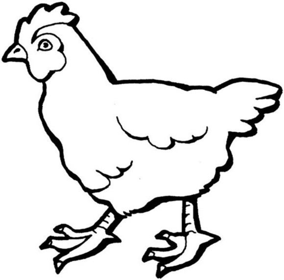 580x572 Animl Clipart Hen
