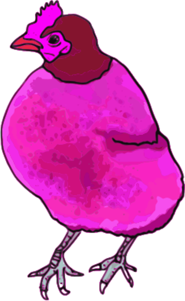 600x974 Chicken Hen Vector Clip Art Image