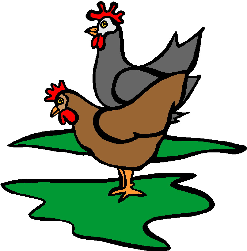993x1006 Animated Chicken Clipart