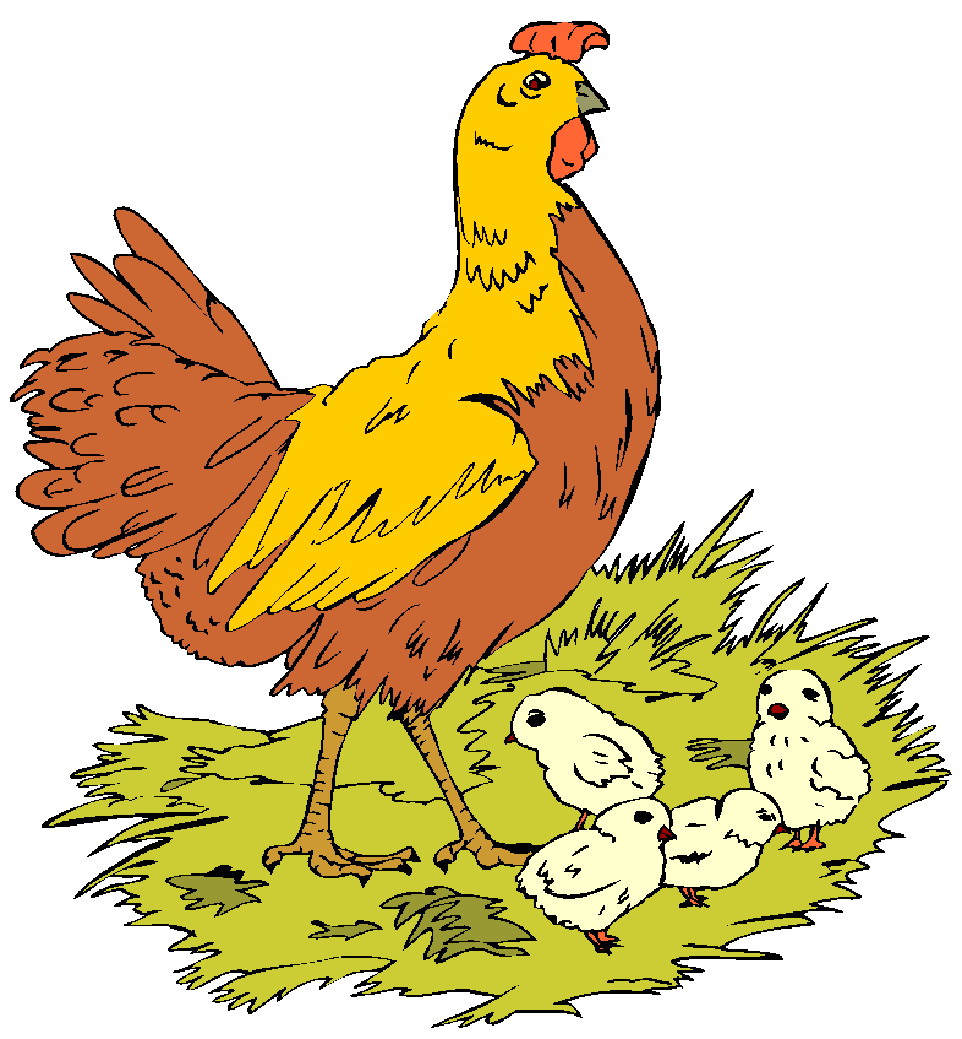 962x1039 Cute Hen Clipart Clipart Panda