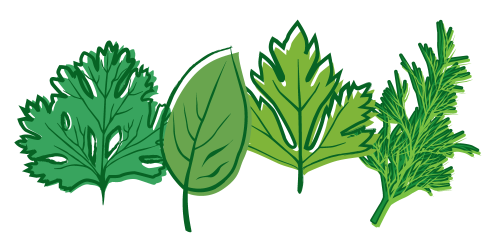 1000x500 Herbs Clipart Transparent