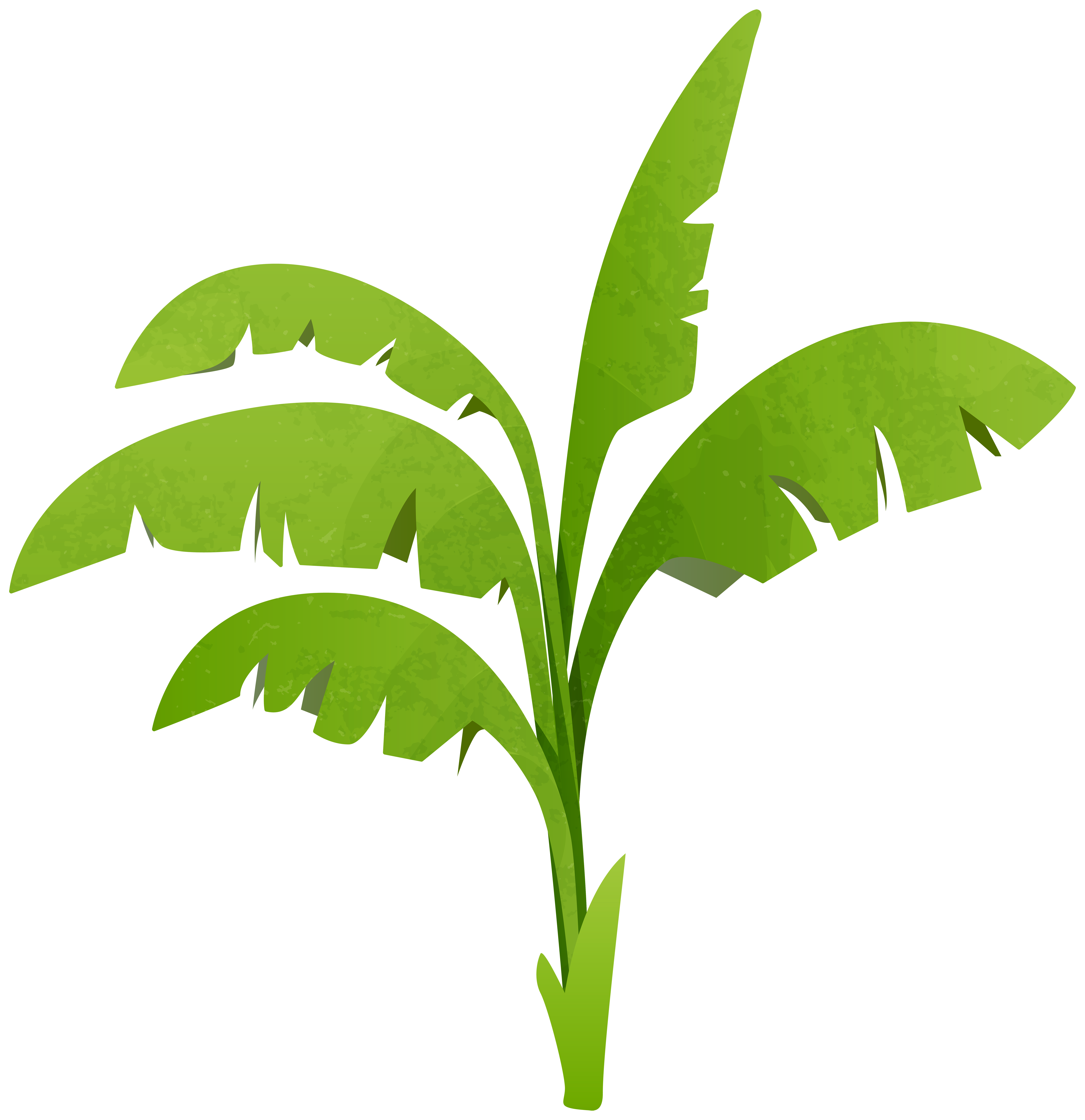 5814x6000 Green Plant Clipart, Explore Pictures