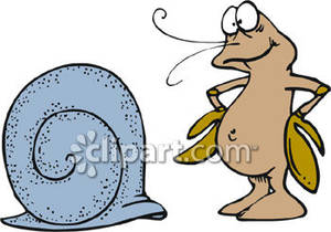 300x210 Crab With Pinchers On Hips Looking At New Shell