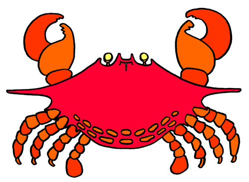 500x366 Hermit Crab Clipart Baby Crab
