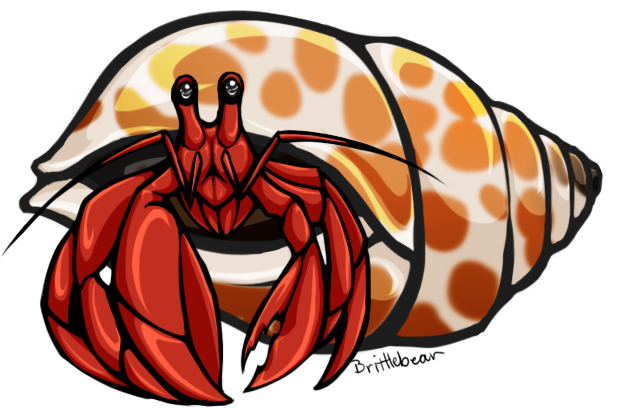 622x408 Hermit Crab Clip Art Many Interesting Cliparts