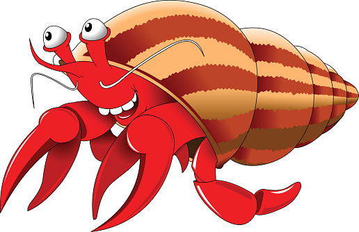 516x334 Hermit Crab Clipart