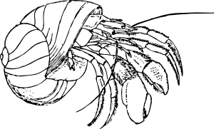 300x181 Hermit Crab Clip Art