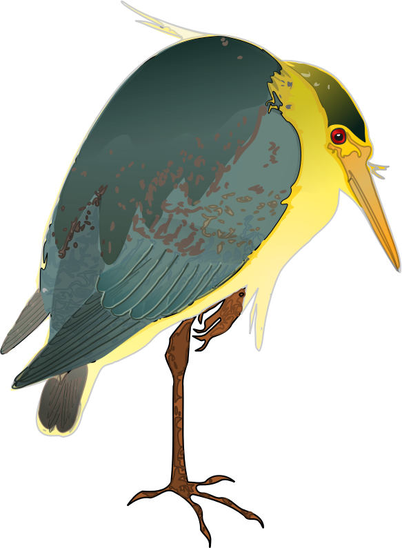 583x794 Free Night Heron Clip Art