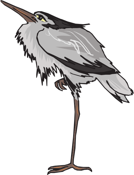 456x592 Gray Heron Standing On One Leg Clip Art