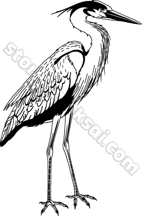 540x821 Sai Store Sai Clip Art