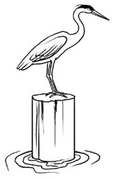 168x257 Heron Clip Art 15 168x257 Clipart Panda