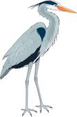 112x170 Clipart Of Great Blue Heron U17638753