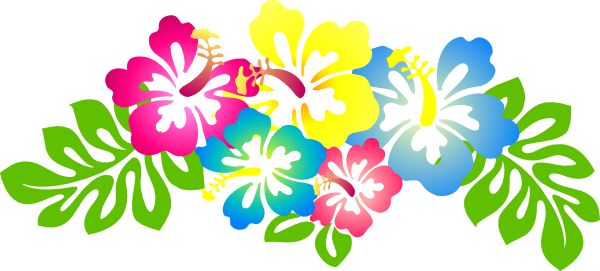 600x271 Hibiscus Clipart Border