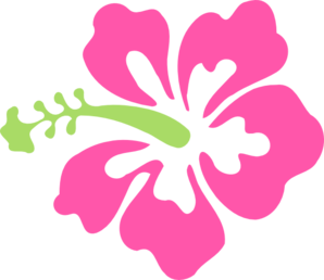 298x258 Pink Green Hibiscus Clip Art