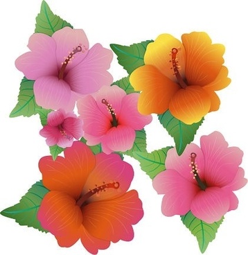 358x368 Hawaiian Hibiscus Flower Clip Art Free Vector Download (213,942