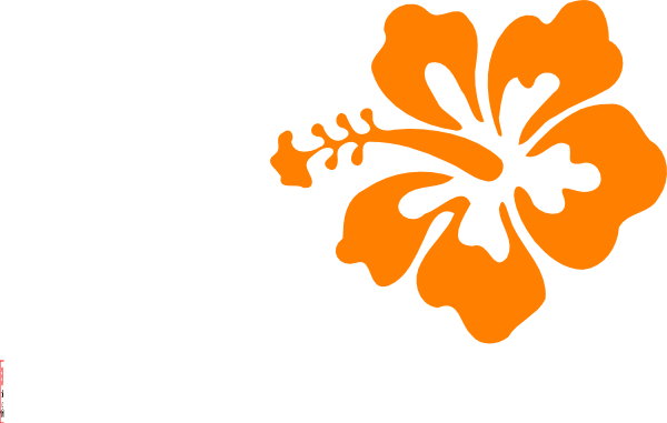 600x381 Orange Hibiscus Clip Art