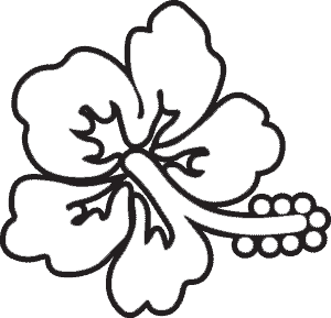 300x289 Hibiscus Outline Clip Art