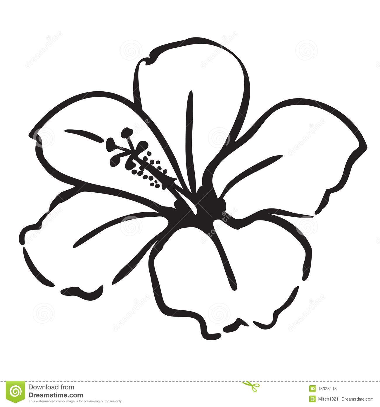 Hibiscus Flower Outline Free Download On Clipartmag