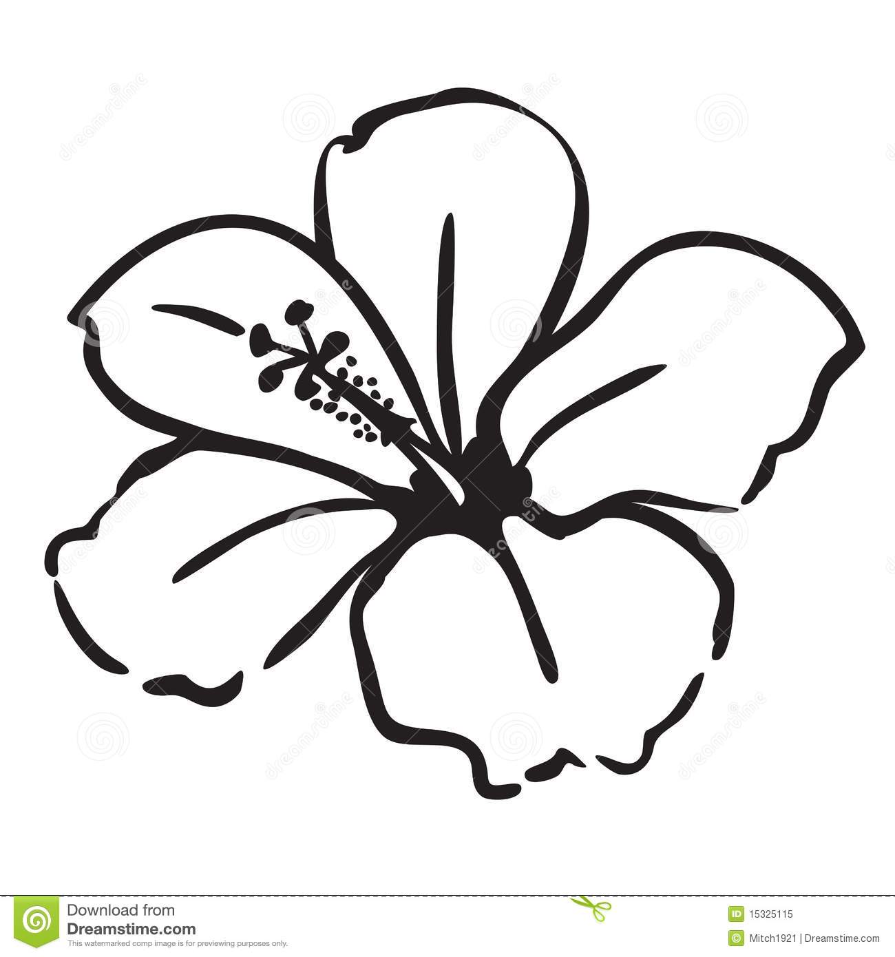 Hibiscus Flower Outline | Free download on ClipArtMag