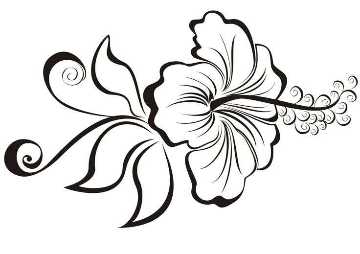 736x519 9 New Hibiscus Tattoo Designs And Ideas