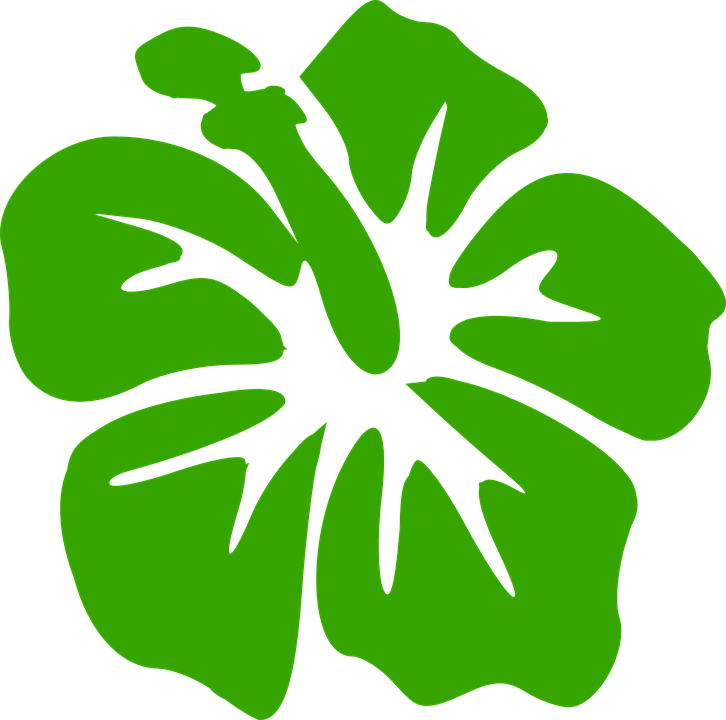 726x720 Hibiscus Clipart Green