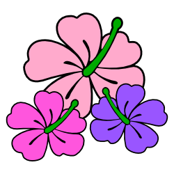 250x250 Free Borders And Clip Art Hibiscus Themed Clip Art And Borders