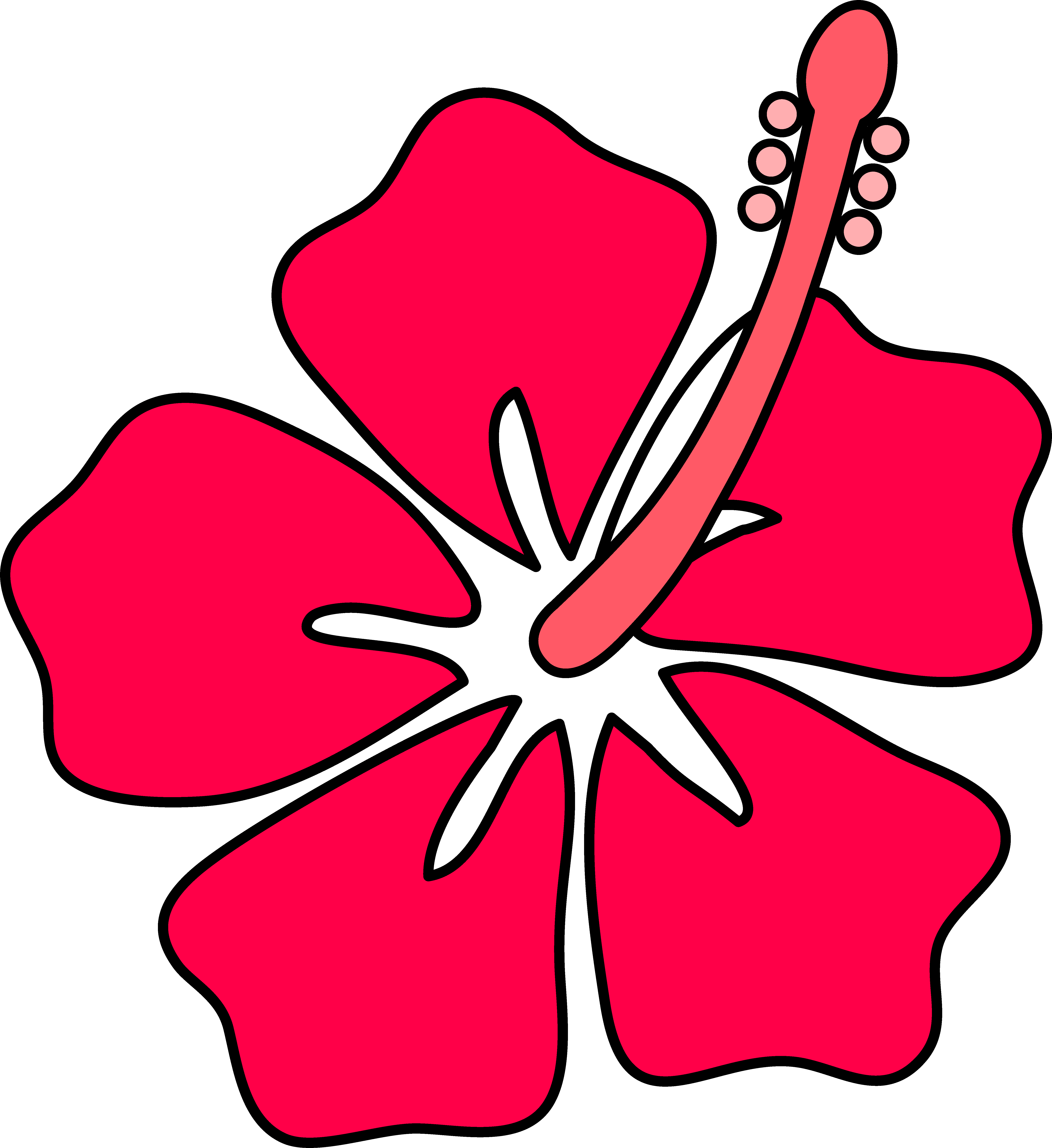 5922x6462 Hibiscus Flower Outline Pink Free Images