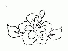 236x177 Hawaii Flower Outline Pin Hibiscus Coloring Pages 11170 Hd