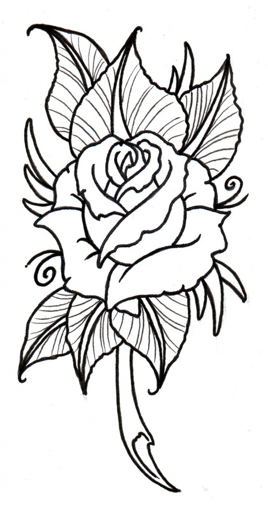 539x1024 Flower Outline Tattoo 1000 Images About Tattoo Ideas